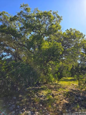227 Mitchell Ranch Road Camp Wood TX 78833