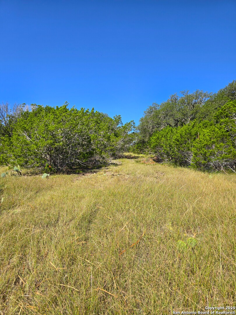 227 Mitchell Ranch Road Camp Wood TX 78833