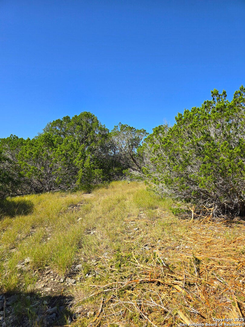 227 Mitchell Ranch Road Camp Wood TX 78833