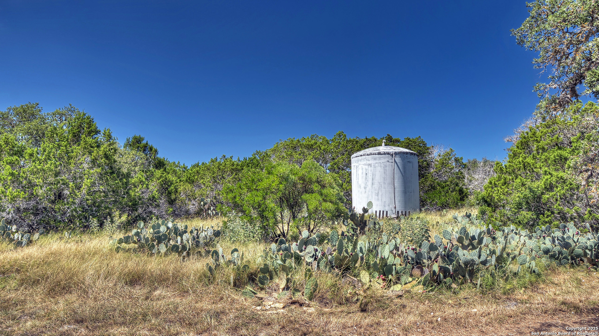 227 Mitchell Ranch Road Camp Wood TX 78833