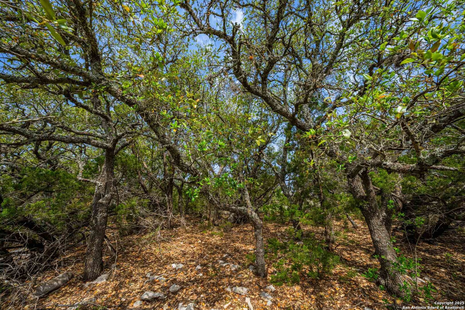 Tbd 74240 Rocksprings TX 78880