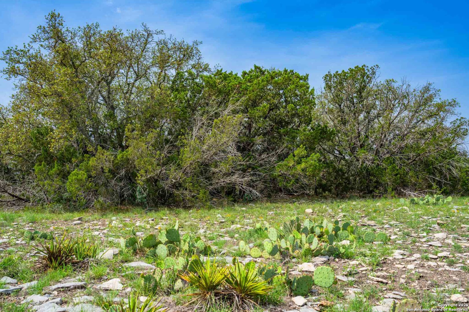 Tbd 74240 Rocksprings TX 78880