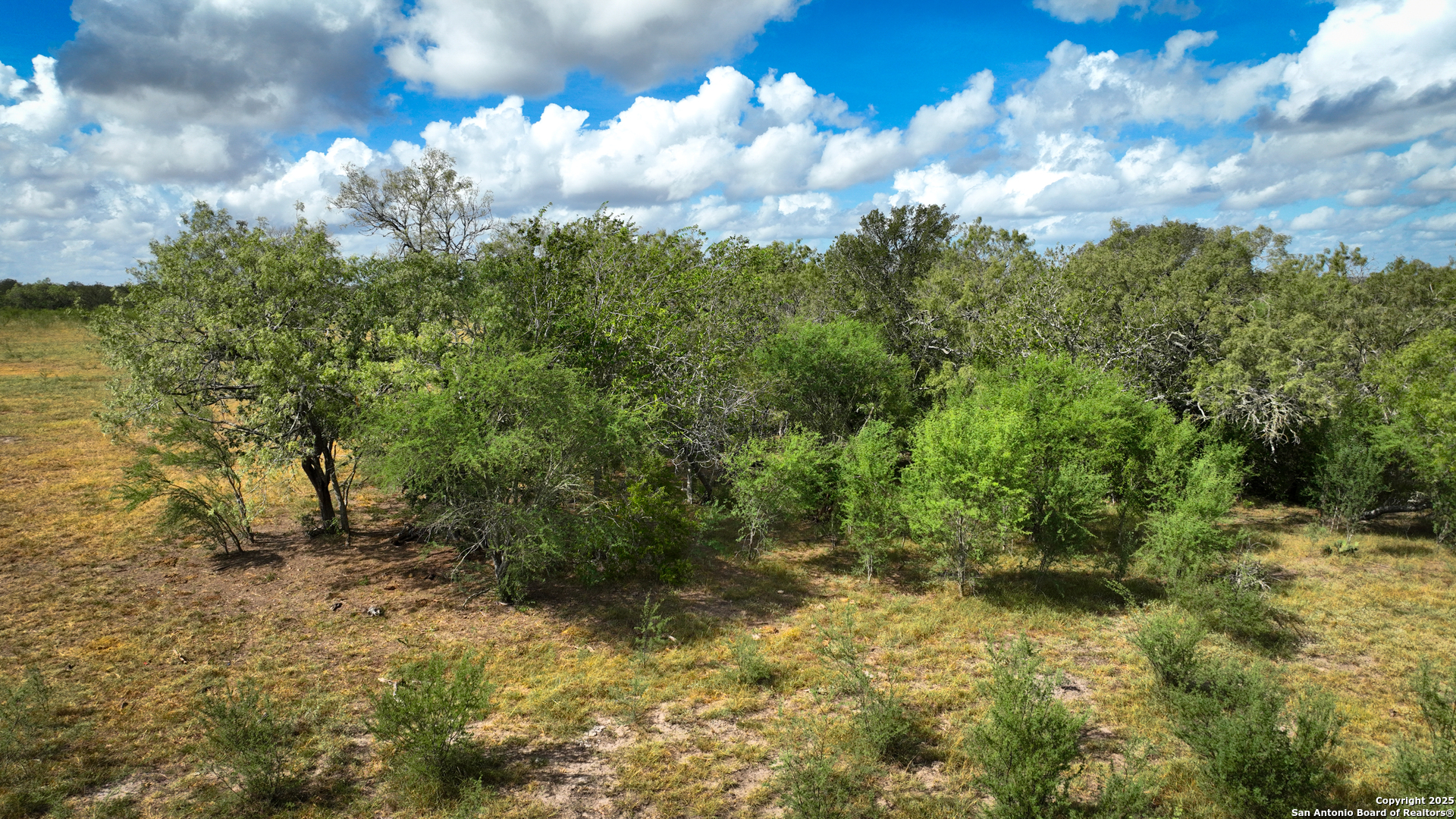 000 S Highway 183 Gonzales TX 78629