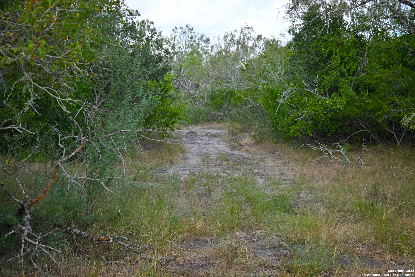 000 S Highway 183 Gonzales TX 78629