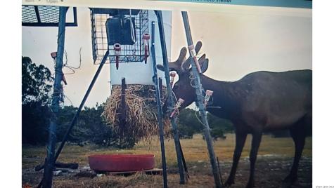 Tbd Sd 28533 Rocksprings TX 78880