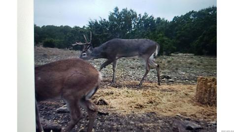 Tbd Sd 28533 Rocksprings TX 78880