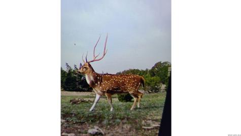 Tbd Sd 28533 Rocksprings TX 78880