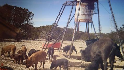 Tbd Sd 28533 Rocksprings TX 78880