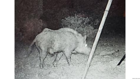 Tbd Sd 28533 Rocksprings TX 78880
