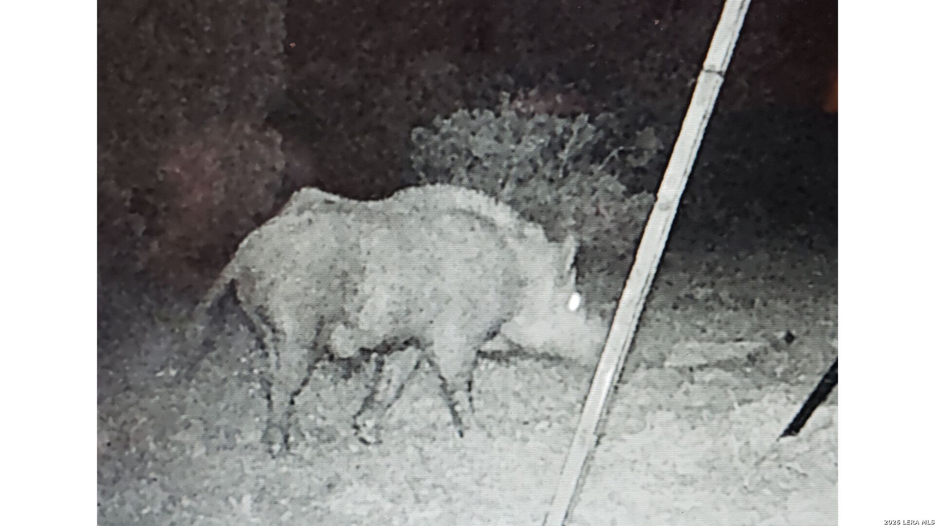 Tbd Sd 28533 Rocksprings TX 78880