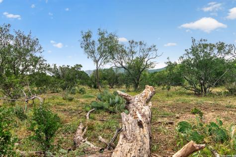 4682 County Road 416 Uvalde TX 78801