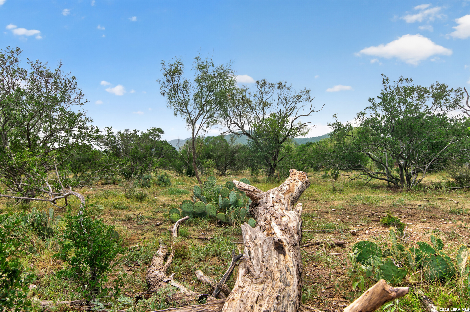 4682 County Road 416 Uvalde TX 78801