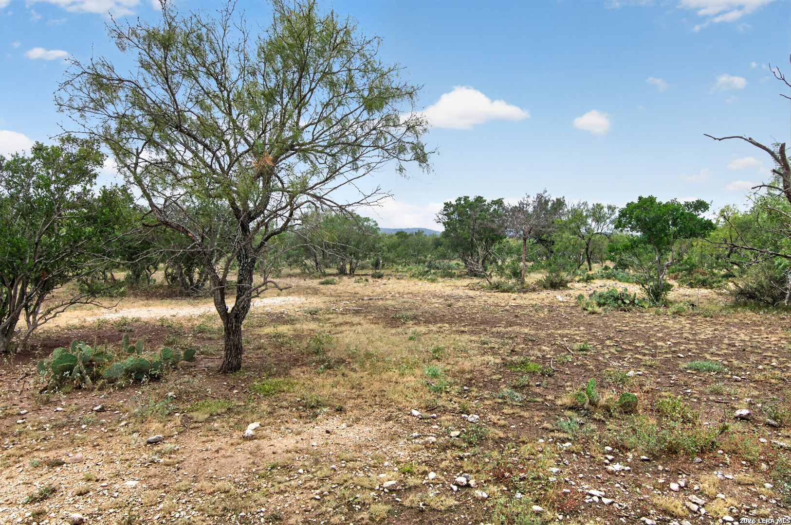 4682 County Road 416 Uvalde TX 78801