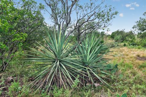 4682 County Road 416 Uvalde TX 78801