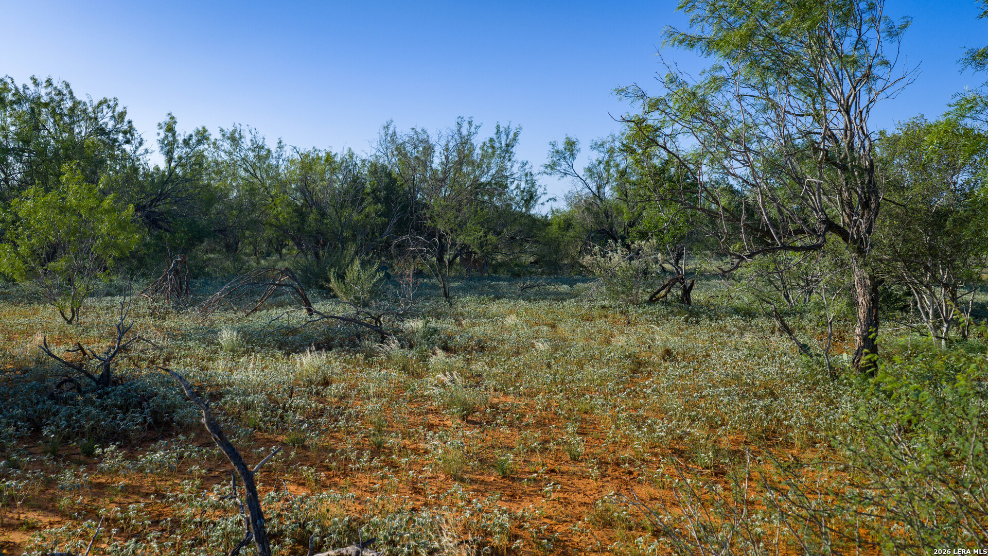 000 Vesper Cotulla TX 78014