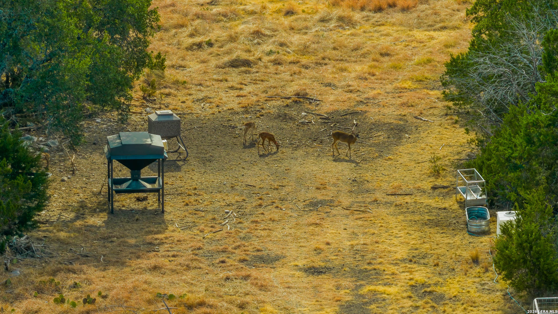 1202 Native Trail Way Harper TX 78631