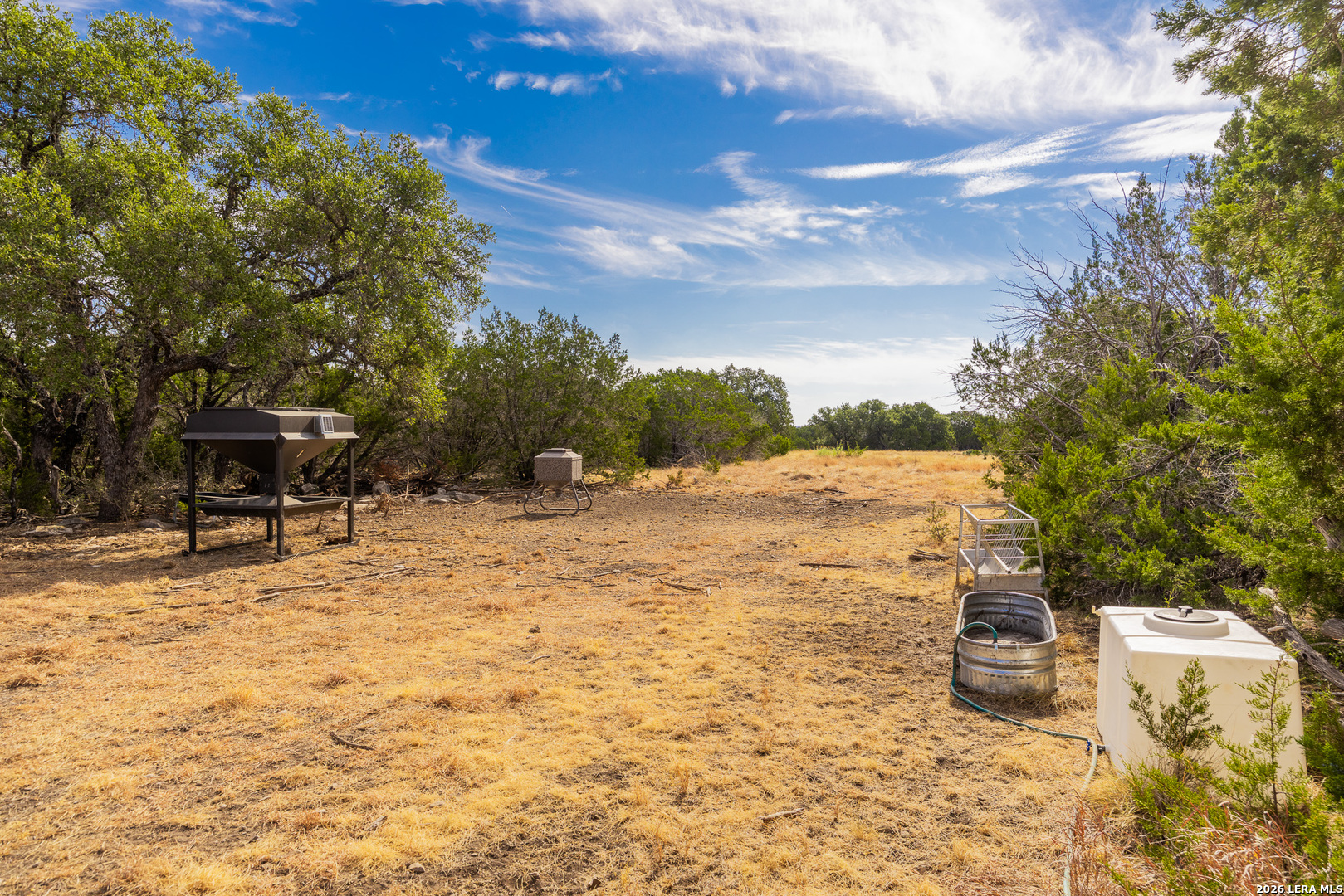 1202 Native Trail Way Harper TX 78631