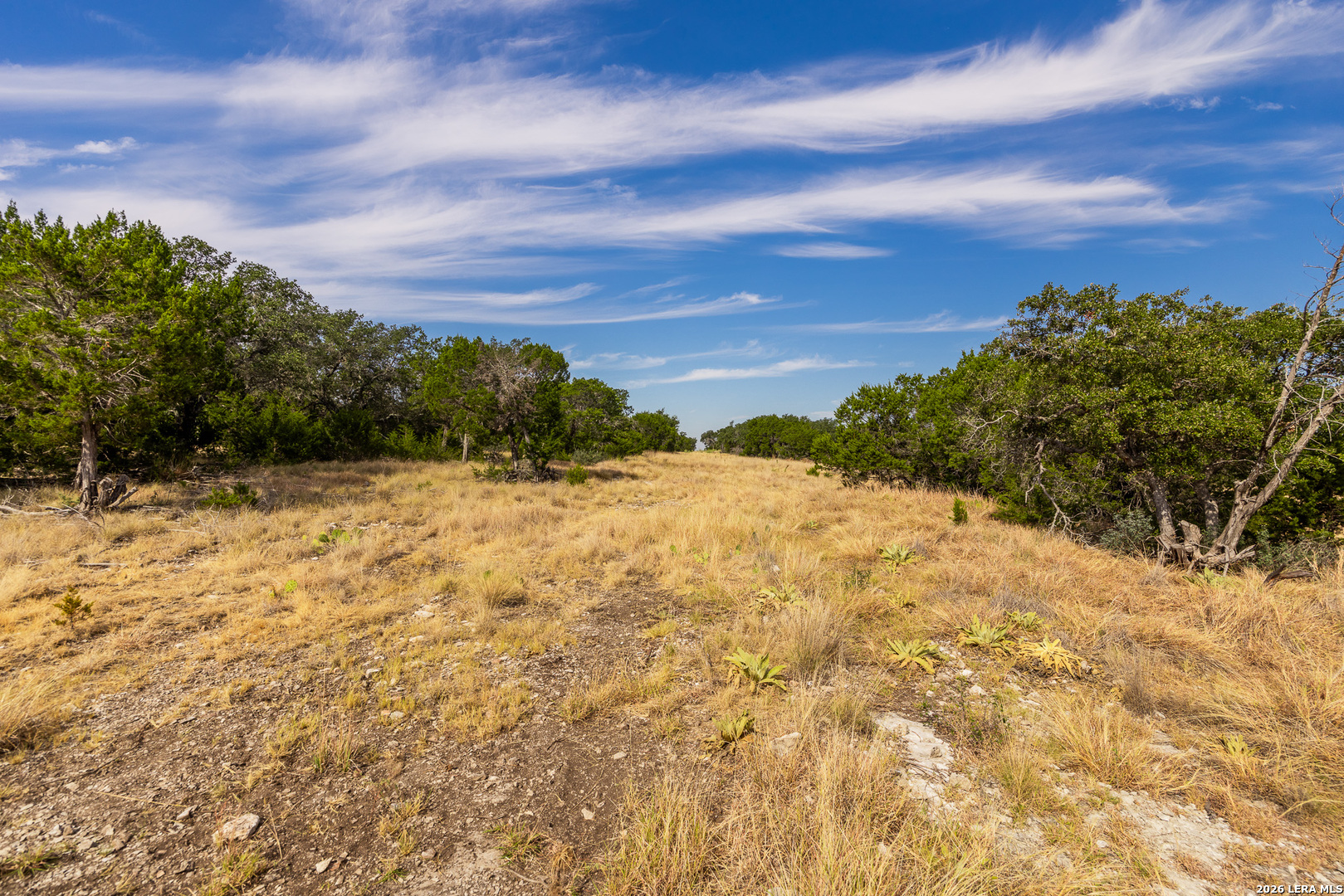1202 Native Trail Way Harper TX 78631
