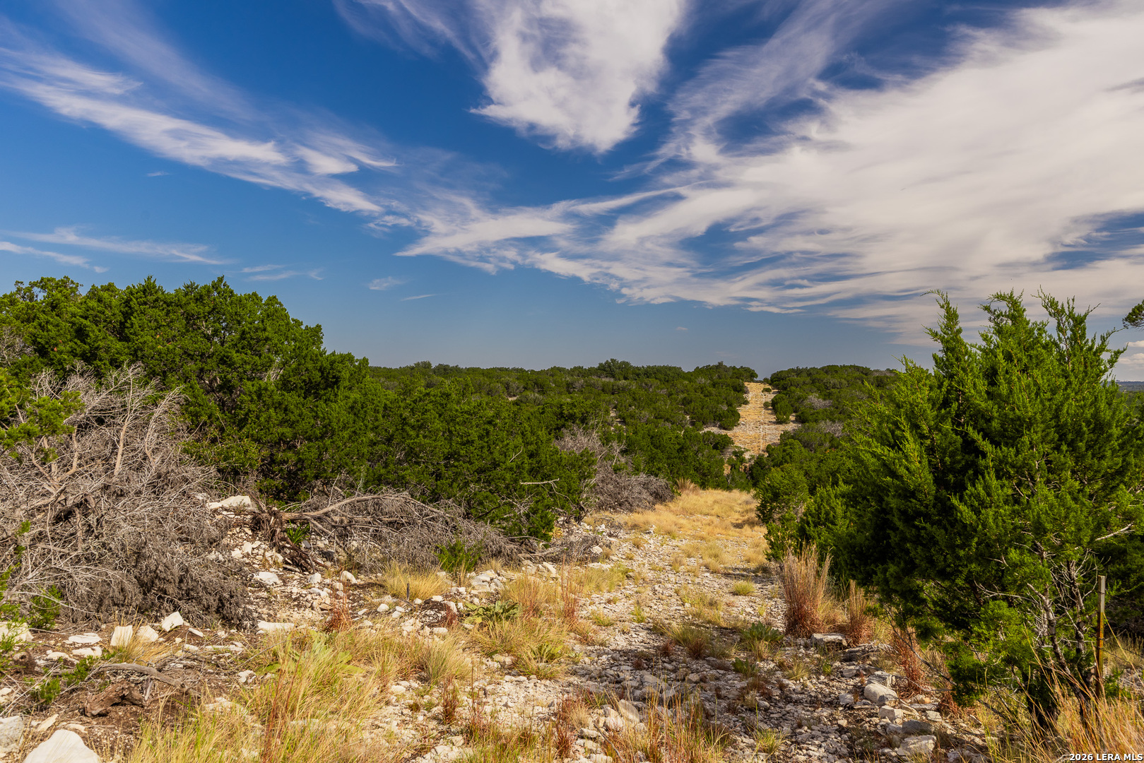 1202 Native Trail Way Harper TX 78631