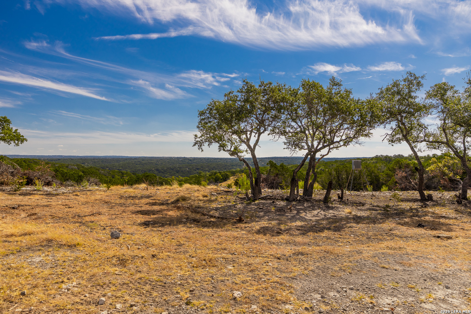 1202 Native Trail Way Harper TX 78631
