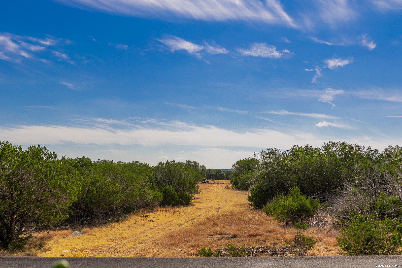 1202 Native Trail Way Harper TX 78631