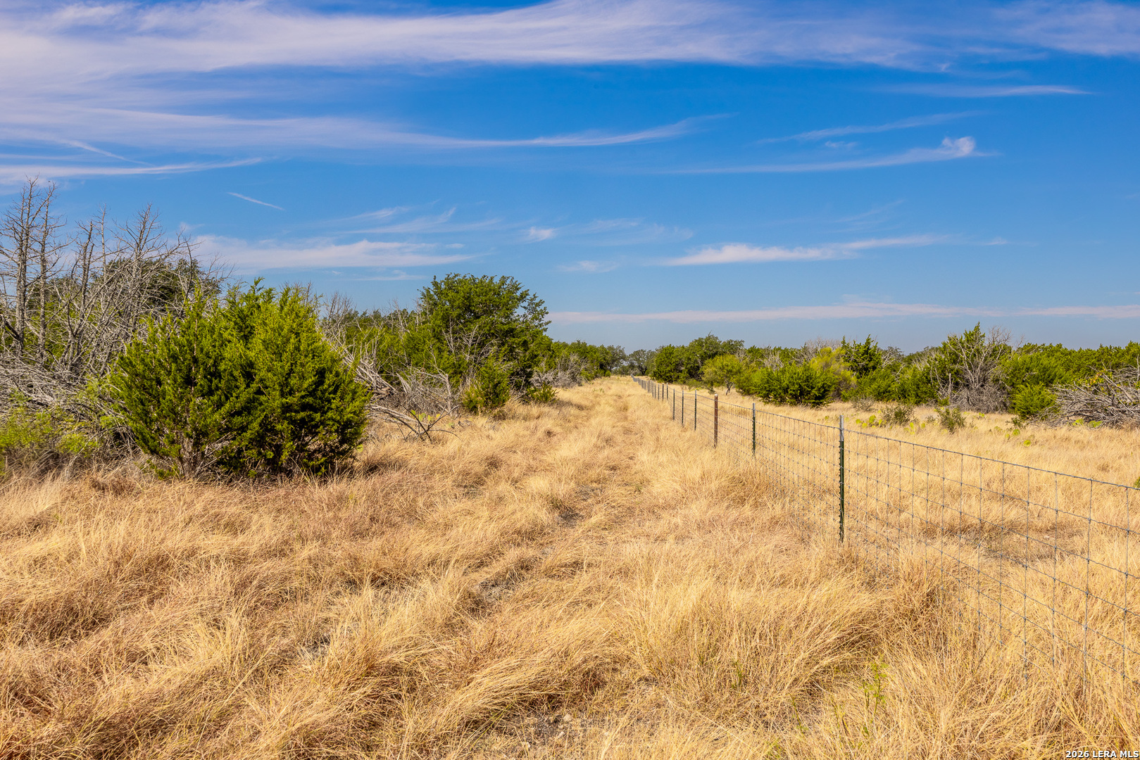 1202 Native Trail Way Harper TX 78631