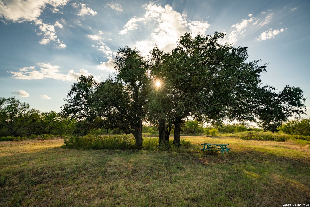 7487 N Us Highway 87 Mason TX 76856