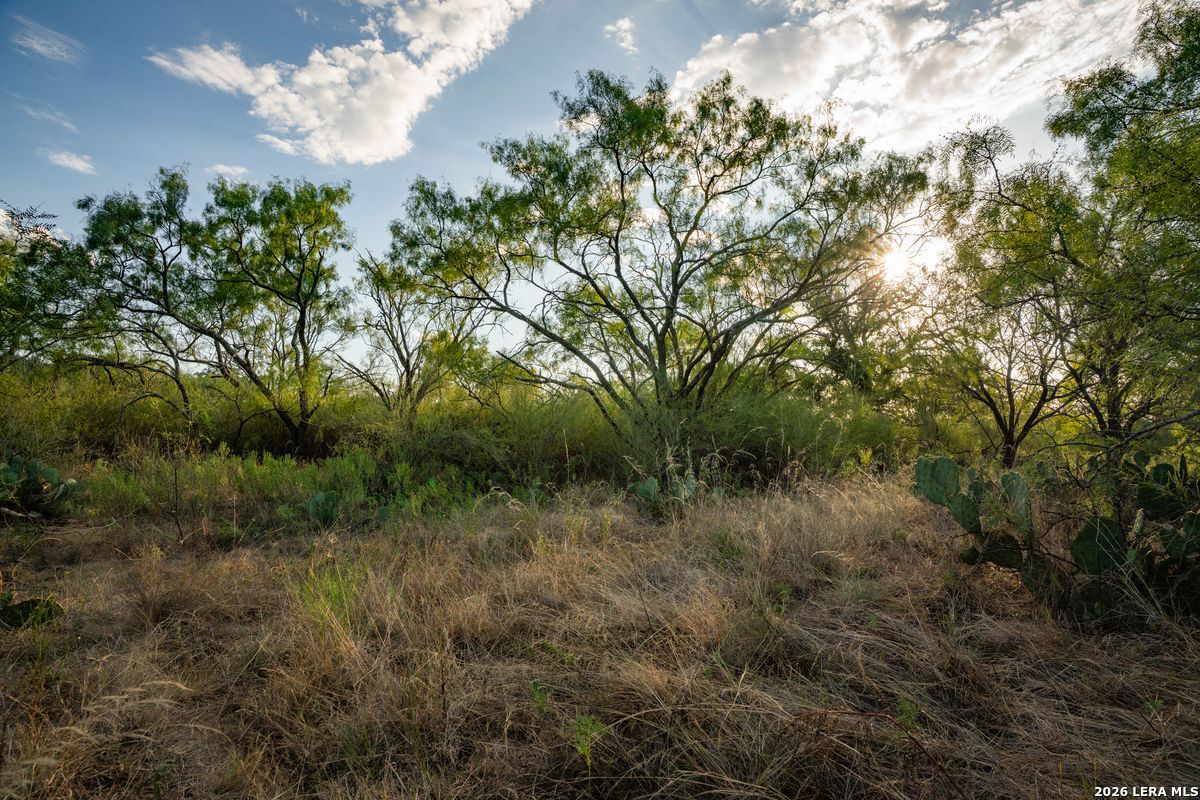 7487 N Us Highway 87 Mason TX 76856