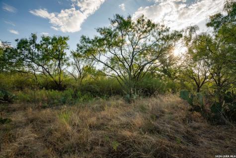 7487 N Us Highway 87 Mason TX 76856