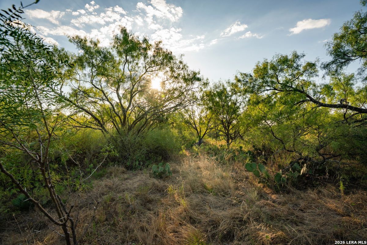 7487 N Us Highway 87 Mason TX 76856