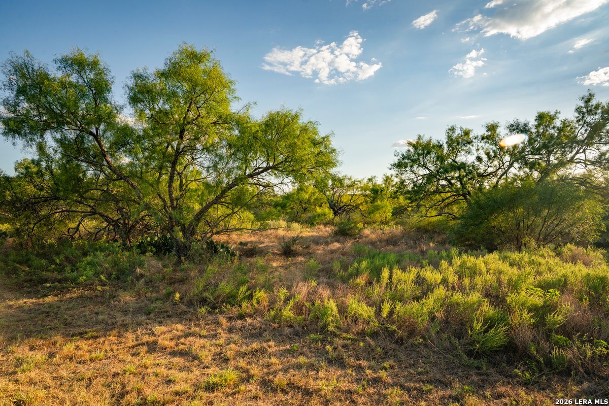 7487 N Us Highway 87 Mason TX 76856