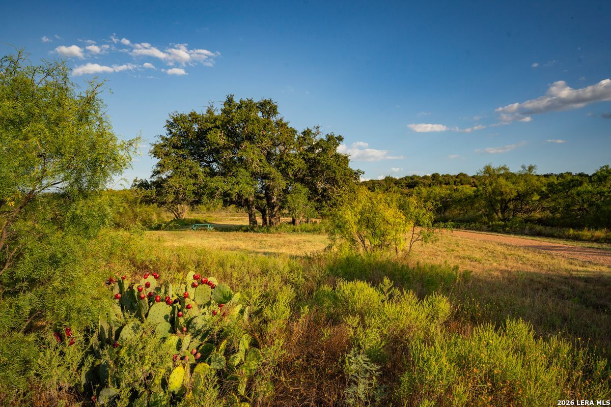 7487 N Us Highway 87 Mason TX 76856