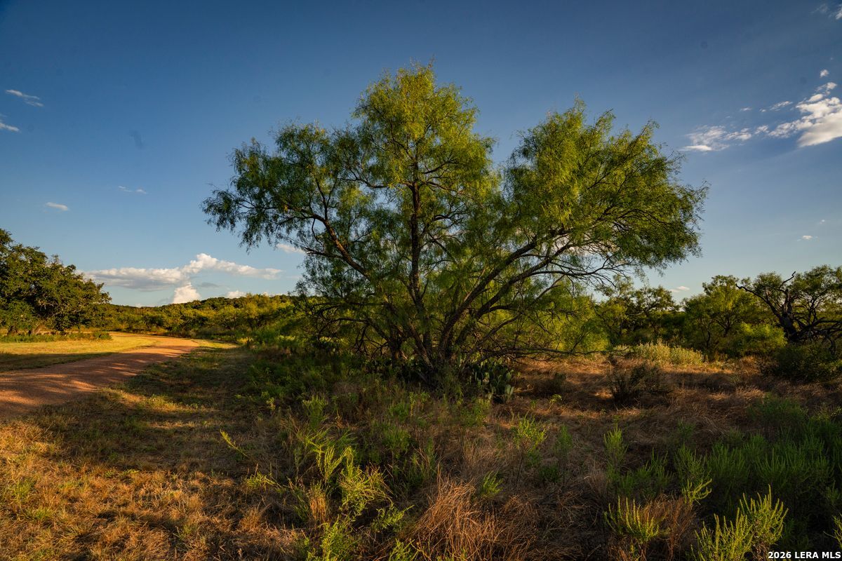 7487 N Us Highway 87 Mason TX 76856