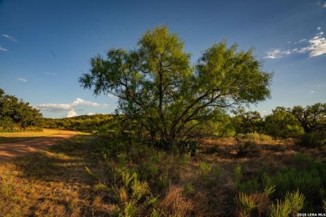7487 N Us Highway 87 Mason TX 76856