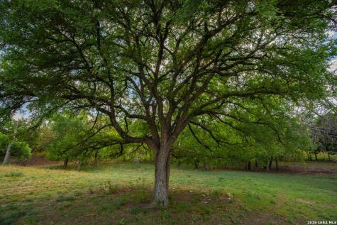 718 Ranch To Market 473 Comfort TX 78013