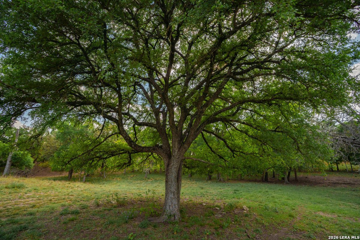 718 Ranch To Market 473 Comfort TX 78013