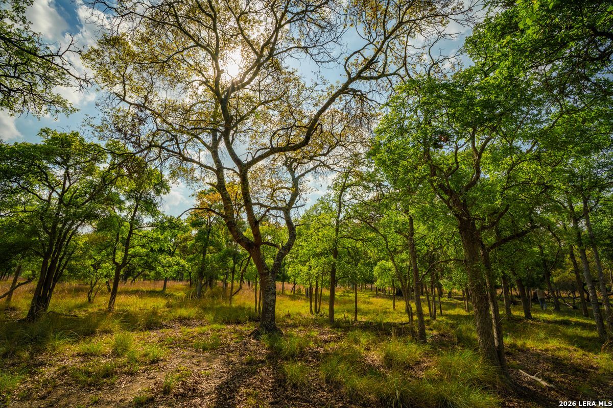 718 Ranch To Market 473 Comfort TX 78013