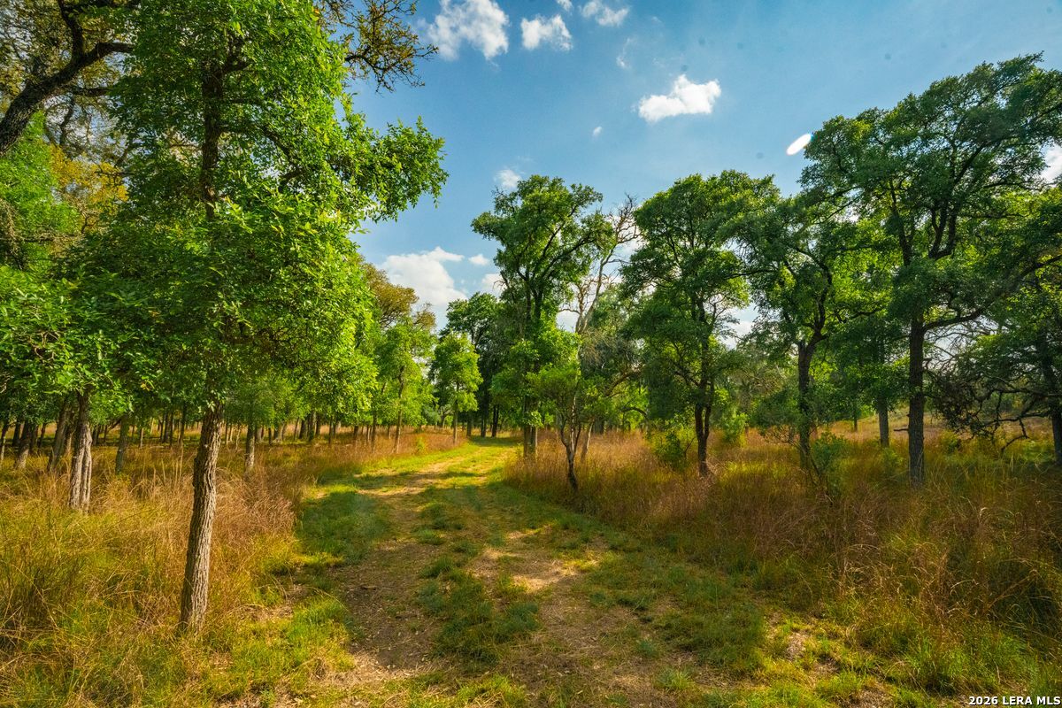 718 Ranch To Market 473 Comfort TX 78013
