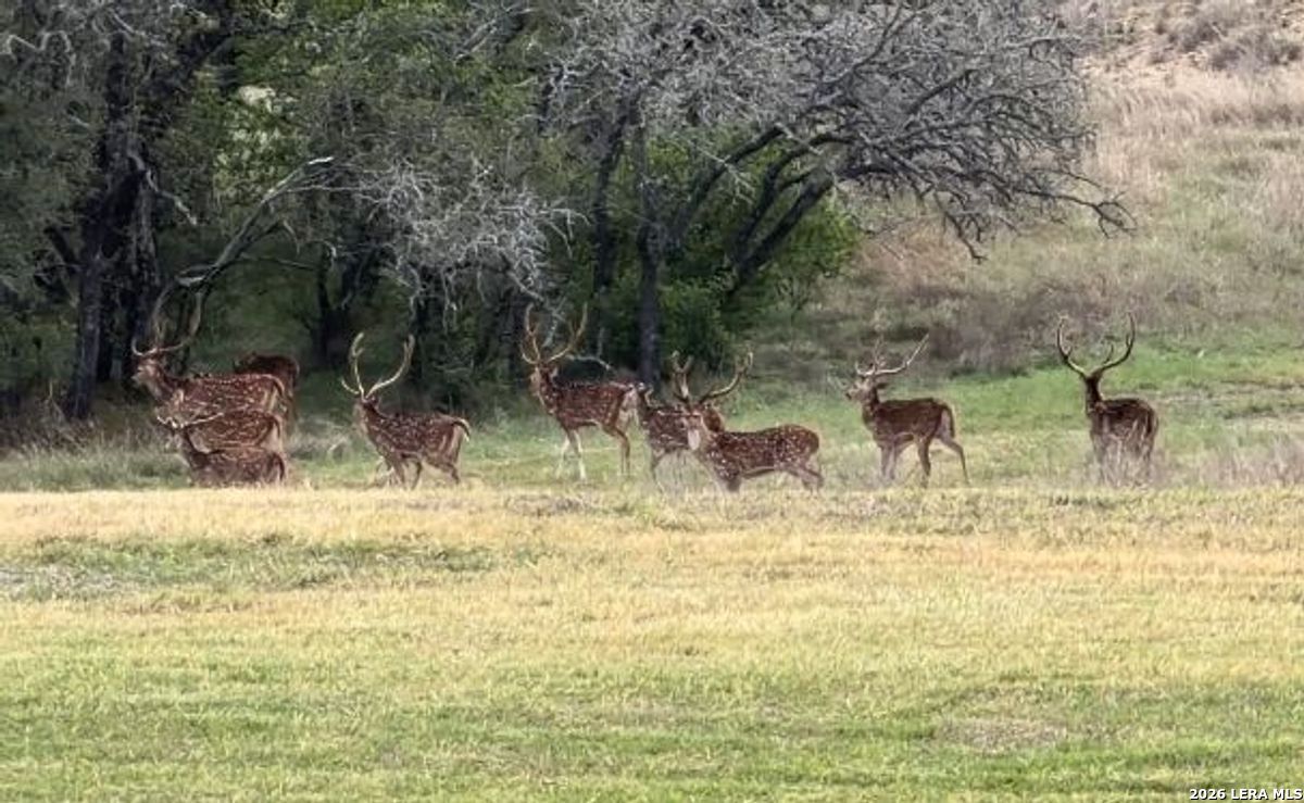 718 Ranch To Market 473 Comfort TX 78013