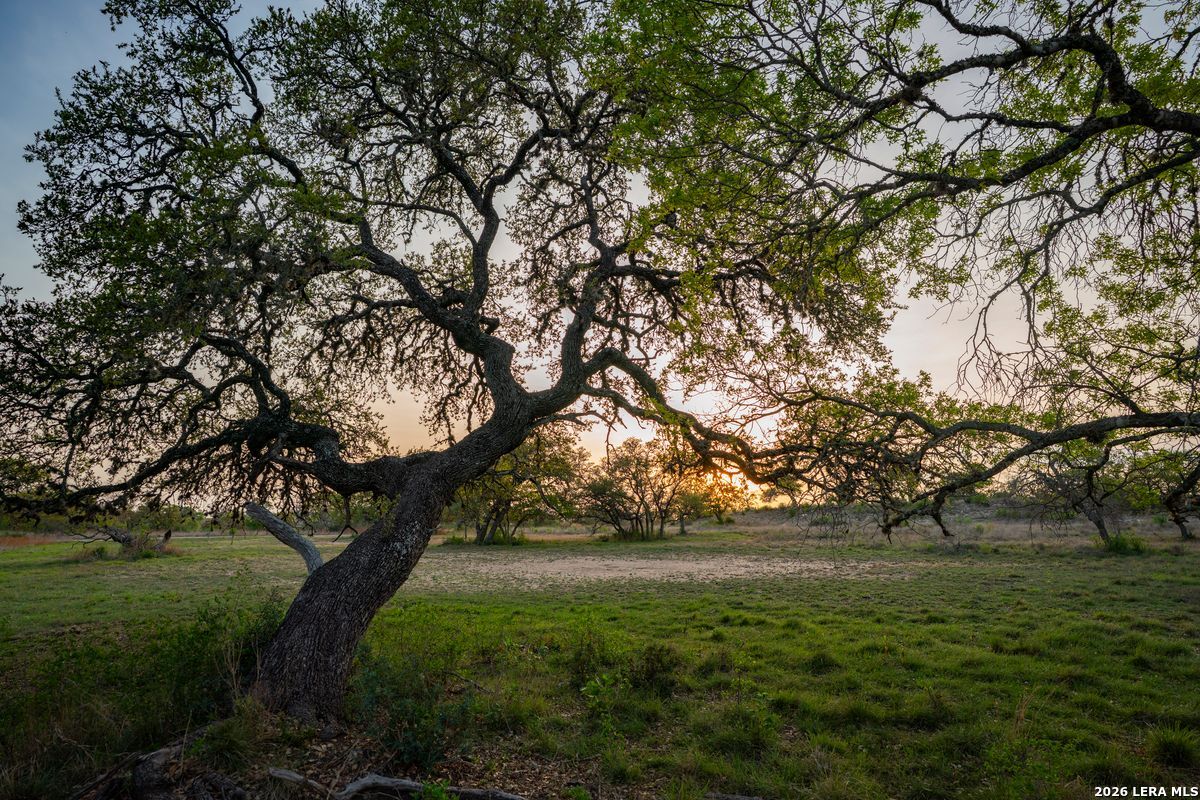 718 Ranch To Market 473 Comfort TX 78013