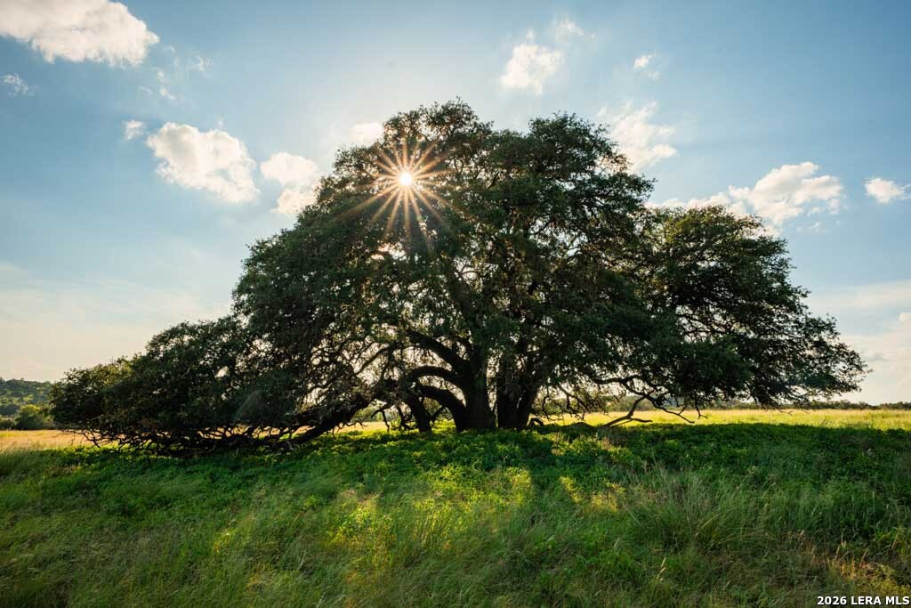 0-A Fm 1888 Blanco TX 78606