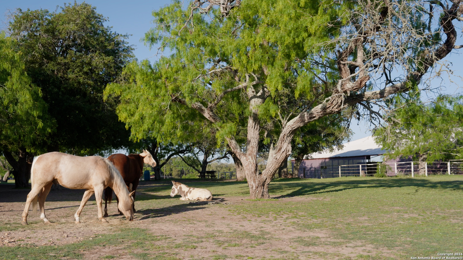 2595 Lower Mission Valley Victoria TX 77905