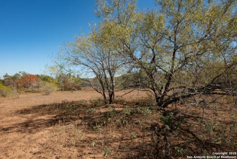 190 County Road 467 Stockdale TX 78160