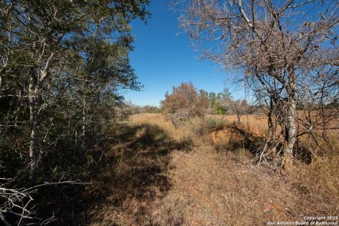 190 County Road 467 Stockdale TX 78160