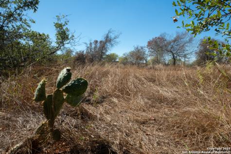 190 County Road 467 Stockdale TX 78160
