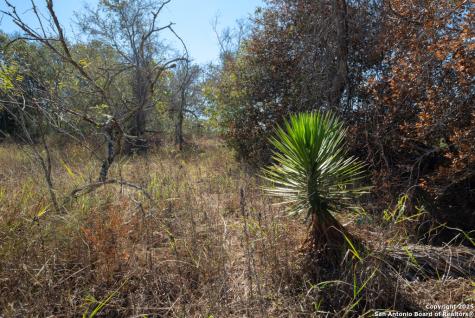 190 County Road 467 Stockdale TX 78160
