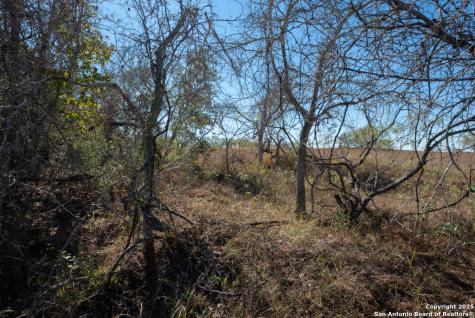 190 County Road 467 Stockdale TX 78160