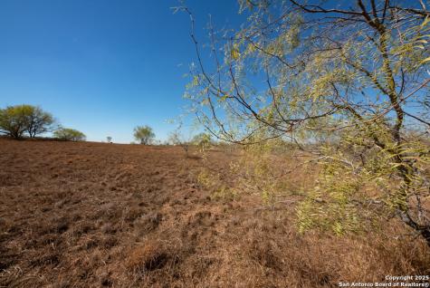 190 County Road 467 Stockdale TX 78160