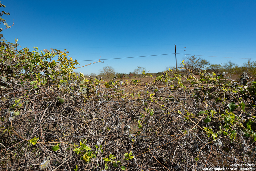 190 County Road 467 Stockdale TX 78160