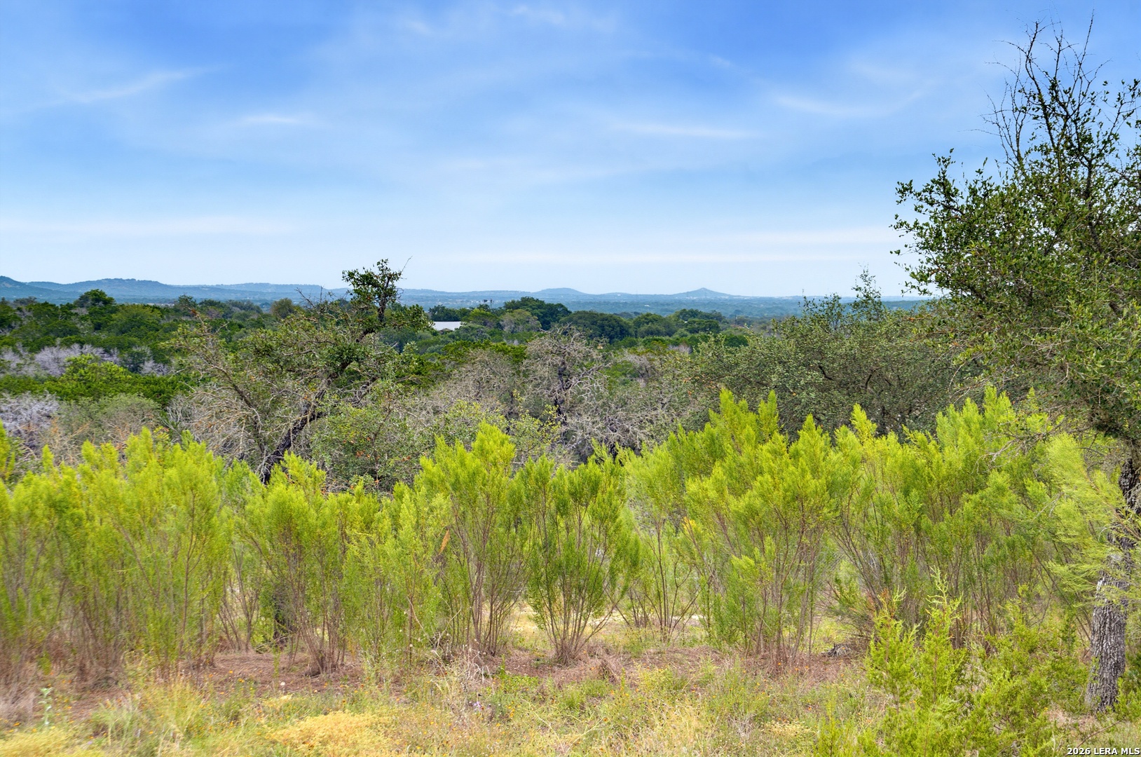 493 Lazy Valley Comfort TX 78013
